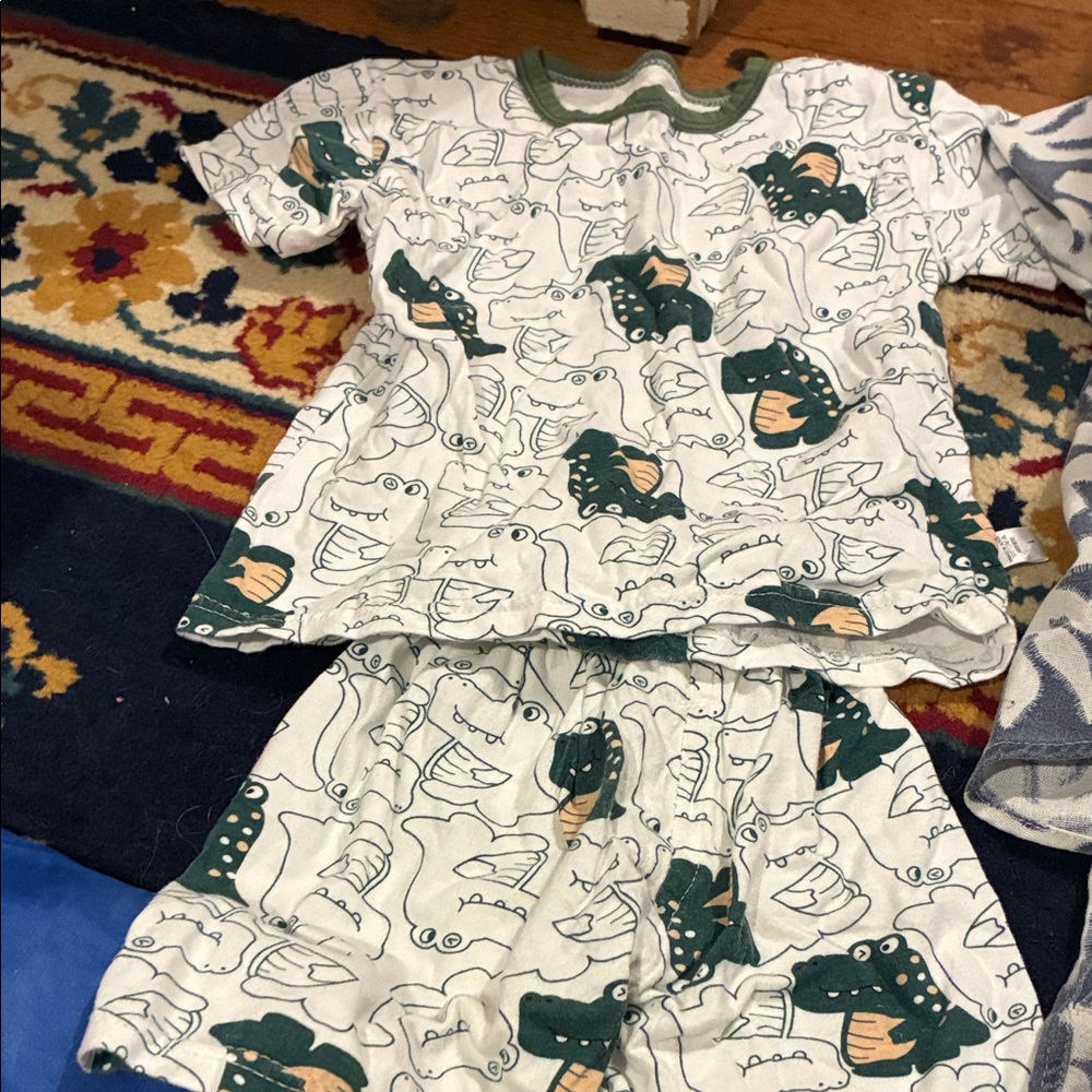 Kids Dinosaur Print Pajama Set